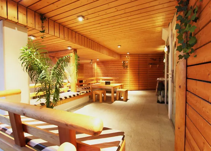 Tauschna Mit Privat-pool