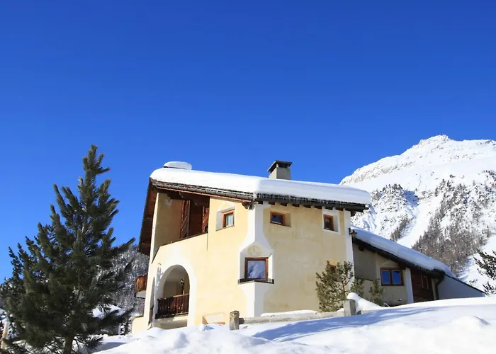 Daire Tauschna Mit Privat-pool Samedan